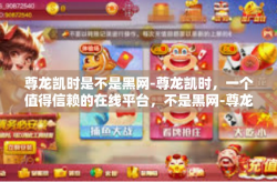 尊龙凯时是不是黑网-尊龙凯时，一个值得信赖的在线平台，不是黑网-尊龙凯时是不是黑网