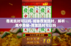 尊龙凯时可以吗-揭秘尊龙凯时，解析其中奥秘-尊龙凯时可以吗