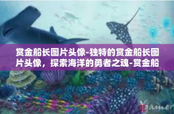 赏金船长图片头像-独特的赏金船长图片头像，探索海洋的勇者之魂-赏金船长图片头像