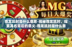 尊龙凯时是什么意思-揭秘尊龙凯时，探索其名背后的意义-尊龙凯时是什么意思