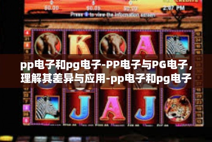 pp电子和pg电子-PP电子与PG电子，理解其差异与应用-pp电子和pg电子